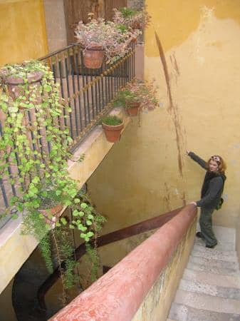 Vertical photo