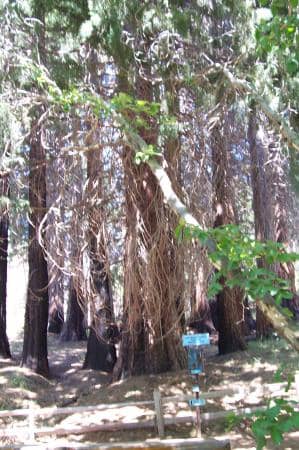 Panoramic Mountain Vistas
