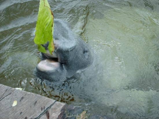 Educational Insights from Devoted Staff