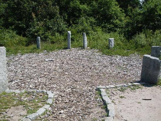 Rare Bi-Colored Lobster