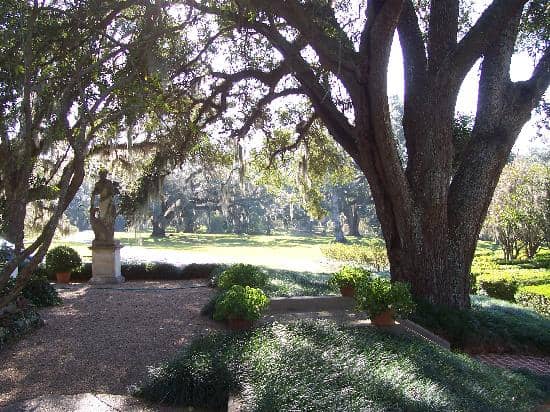Lush Garden Pathways