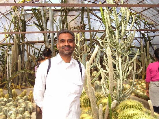 Photogenic Desert Landscape