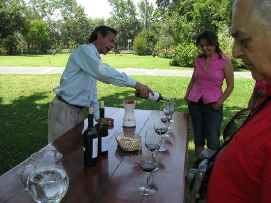 Wine Tasting Sessions