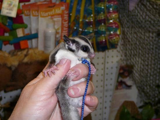 Unique Apparel & Gifts