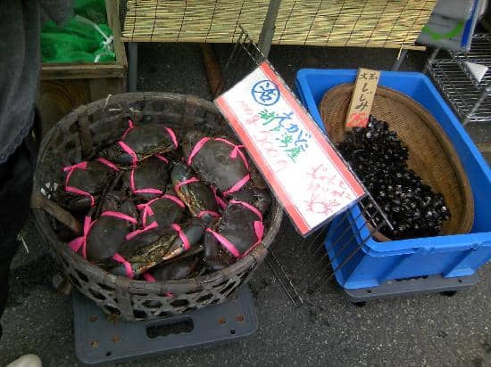 Fresh Produce Galore
