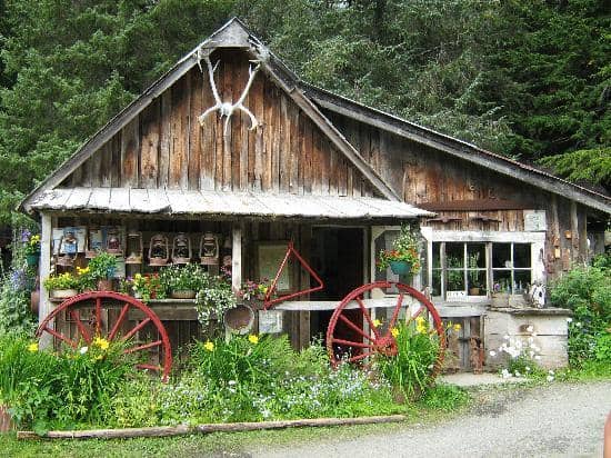 Scenic Hiking Trails