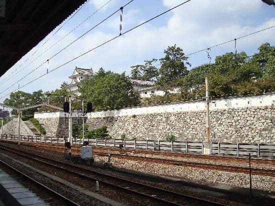 Panoramic City Views