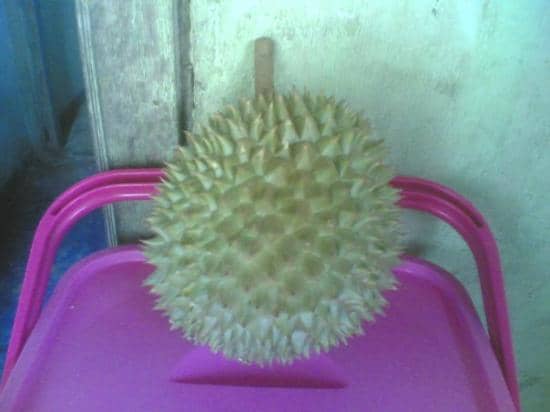 Exclusive Fragrances