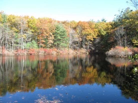 Tranquil Natural Setting