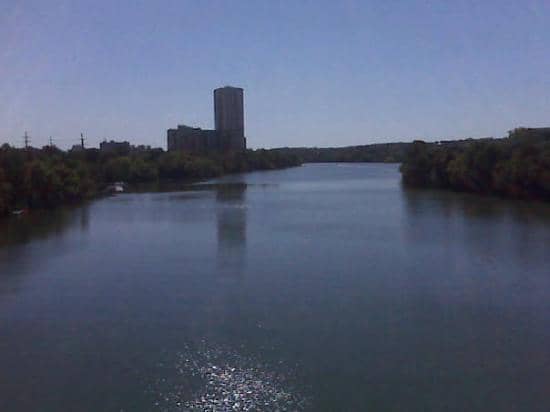 Migratory Bird Spectacle