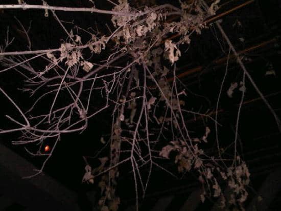 DIY Crafting & Creative Workshops