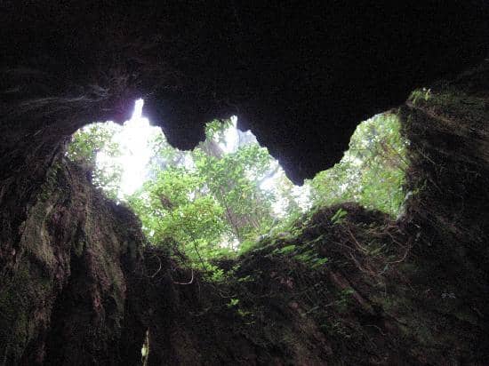 Jomon Sugi