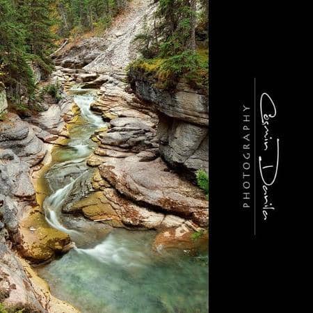 Winter Ice Formations