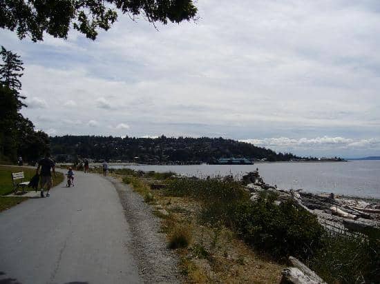 Alfred Caldwell Lily Pool