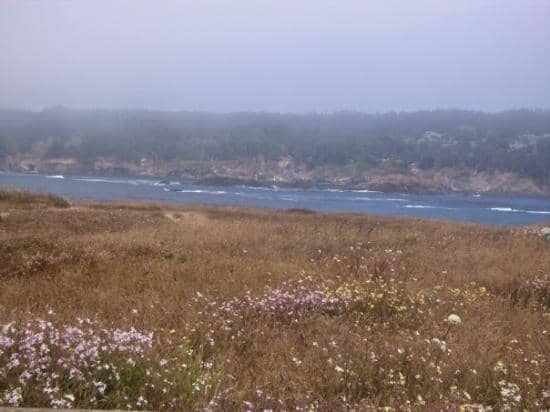 Mendocino Headlands State Park Trails