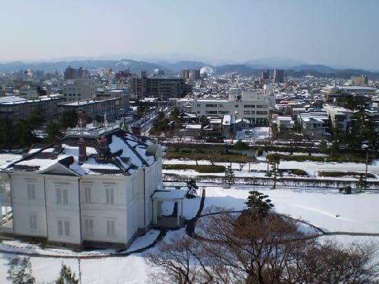 Sakura in Full Bloom