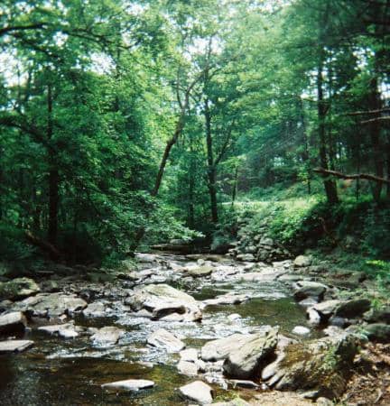 Chimney Rock & Wolf Rock