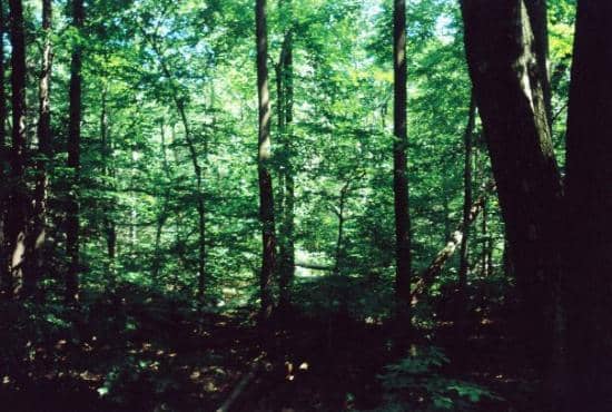 Camp Misty Mount Historic District