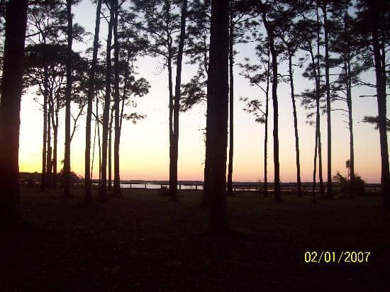 Scenic Walking Trails