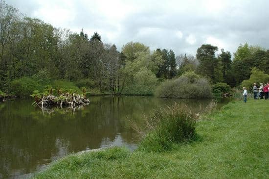 Ireland's Woodland Show