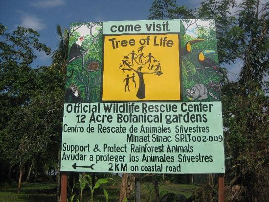 Tide Pools and Rock Formations