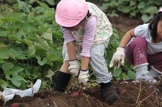 Miniature Railway Adventure