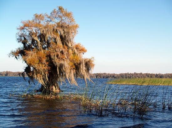 Lake Russell