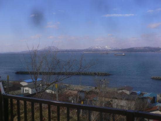 Snow Monkeys in Hot Springs