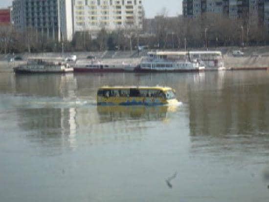 Nighttime City Lights