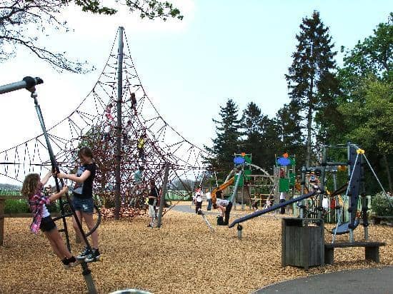 Playground & Open Fields