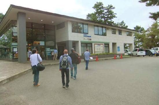 Boulder-Strewn Seascape