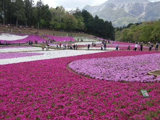 Panoramic City Views