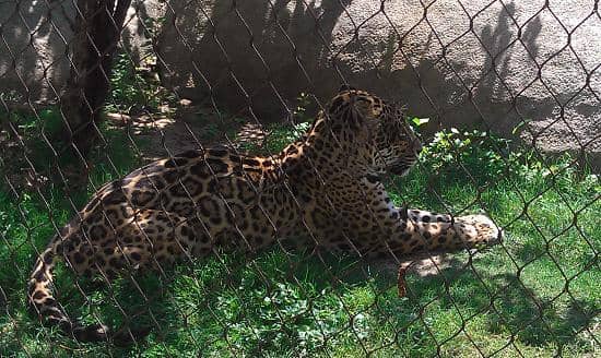 Brazos River Country