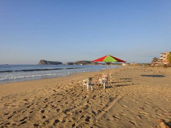Local Beach Vendors