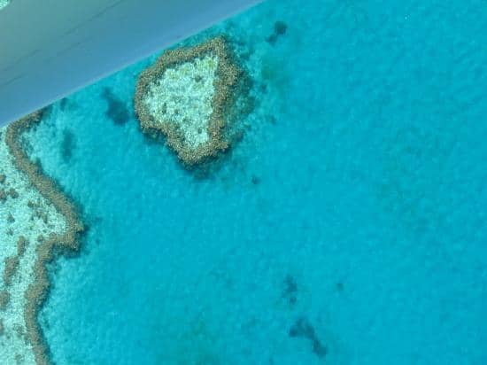 Heart Reef