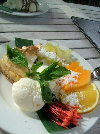 Tropical Flora & Fauna