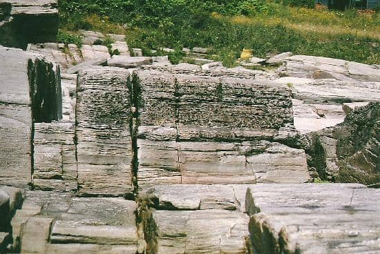 Rocky Shoreline Exploration