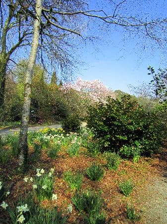 The Remembrance Garden