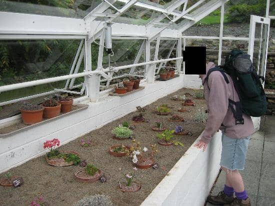 Walled Garden