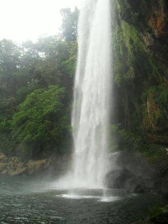 Swimming in Natural Pools