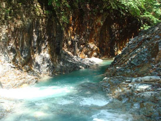 Lush Green Surroundings