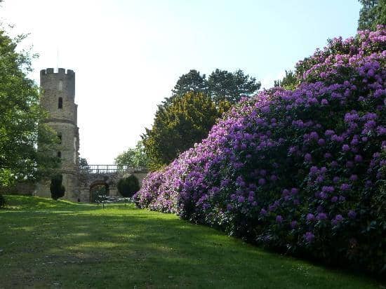 The Folly Castle