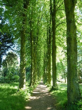 Deer Park