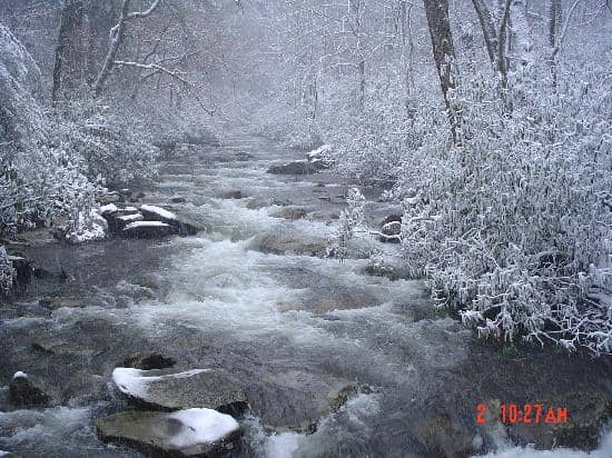 Mount LeConte Summit