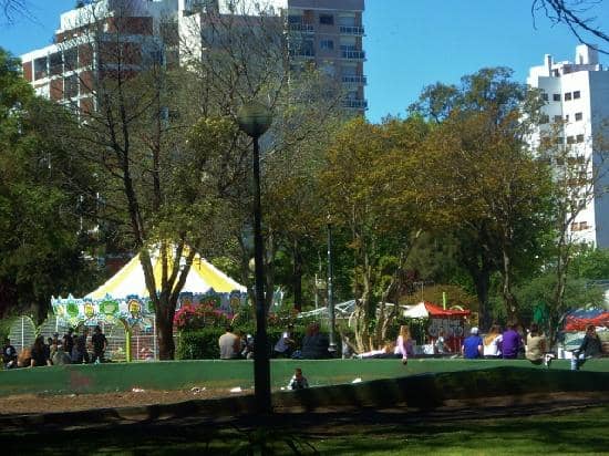 Lawn and Tree-Shaded Areas