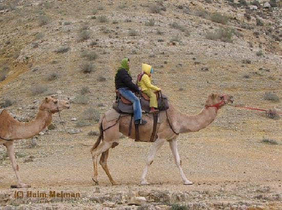 Positive Vibes & Unity