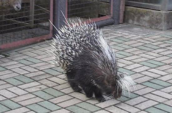 Panoramic Hillside Views