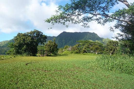 Wailua Falls Viewpoint