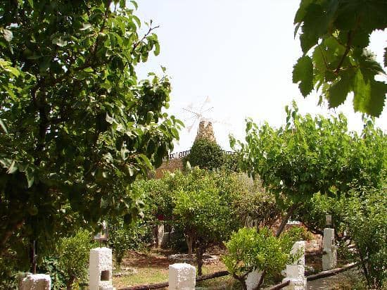 Grape Feast & Folk Dancing