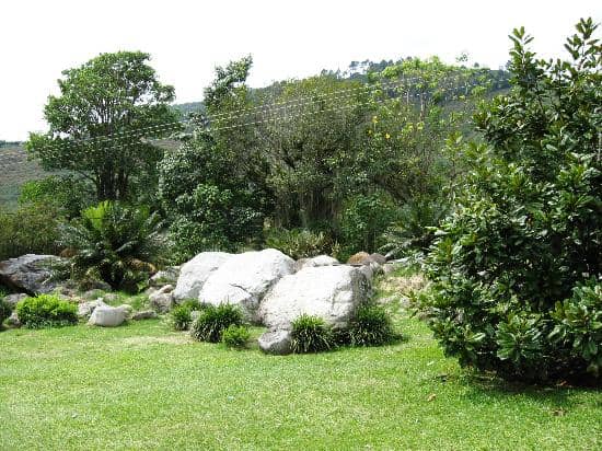 Birdwatching Opportunities